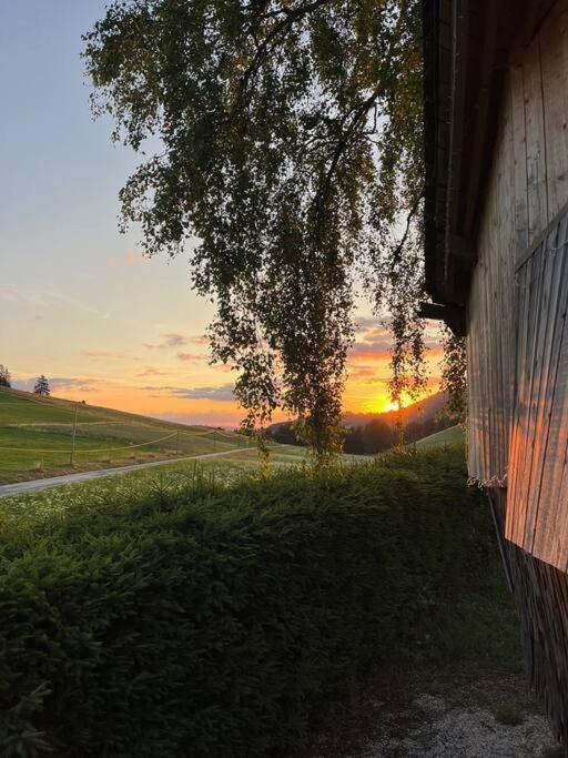 Nuit Insolite - La Cabane Du Haut-Doubs Les Gras Экстерьер фото