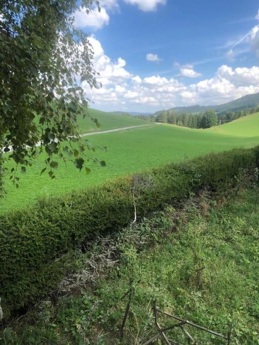 Nuit Insolite - La Cabane Du Haut-Doubs Les Gras Экстерьер фото