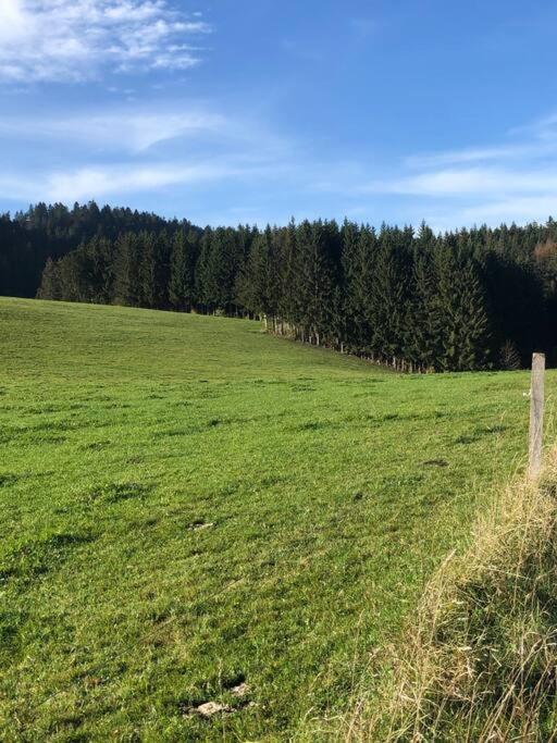 Nuit Insolite - La Cabane Du Haut-Doubs Les Gras Экстерьер фото